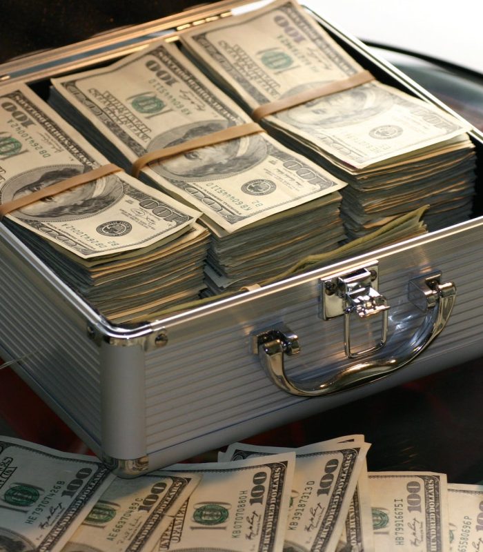 Money Menifestation course Nalanda Wellness